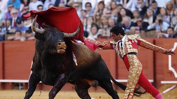 toros_2